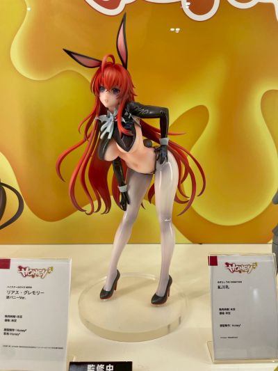 莉雅丝·吉蒙里 逆兔女郎