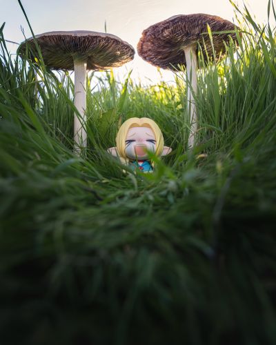 迷宫饭 玛露西尔 学生