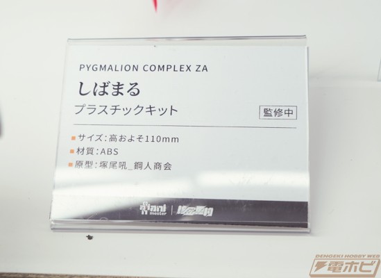 PYGMALION COMPLEX ZA 柴丸
