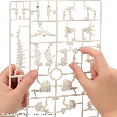 宝可梦拼装模型收藏 化石宝可梦系列 怪颚龙