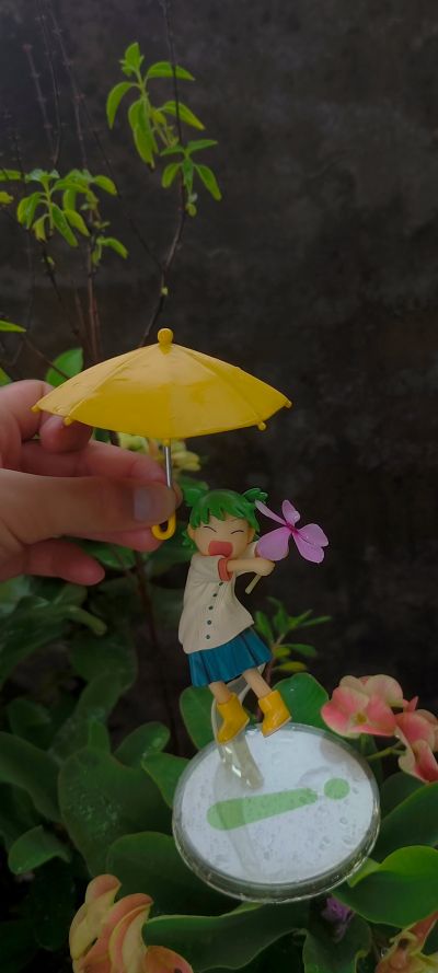 四叶妹妹 よつばとたいふう！ 