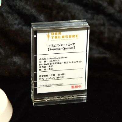 拼装女主角 命运-冠位指定 复仇者-迦摩 [Summer Queens]