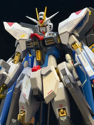 METAL ROBOT魂 ＜机动战士系列＞ 强袭自由高达 [Re:Coordinate]