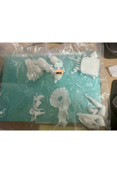 远坂凛 这条腿我能玩一年