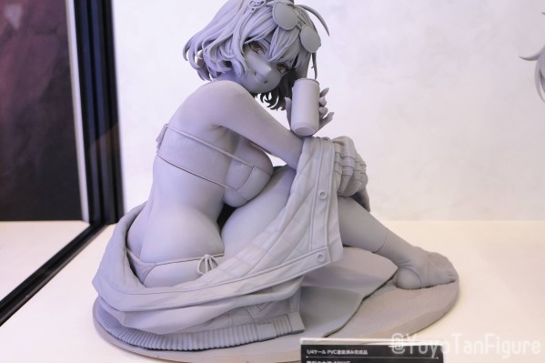 胜利女神：新的希望 阿妮斯：闪耀夏日