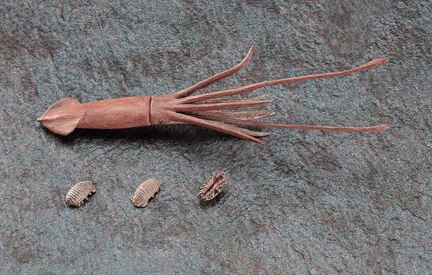 SP329 科学世界系列  载人深潜器 深海6500“细节强化版” 附带深海生物