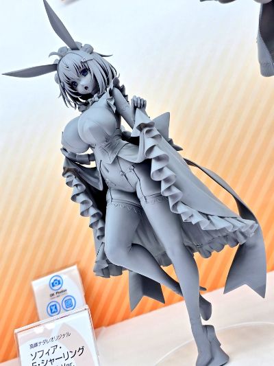 兔女郎服装计划 索菲亚· F· 希琳