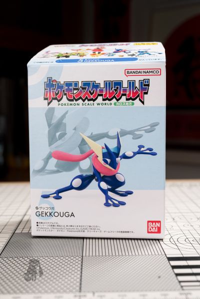 宝可梦比例世界 卡洛斯地区套装