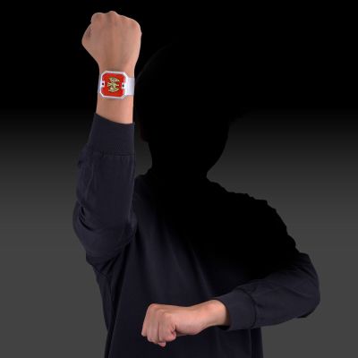 太阳战队太阳火神 火神之息-纪念版-