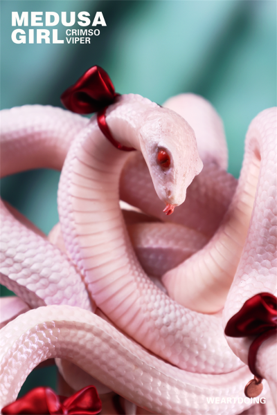 美杜莎少女-红蝰