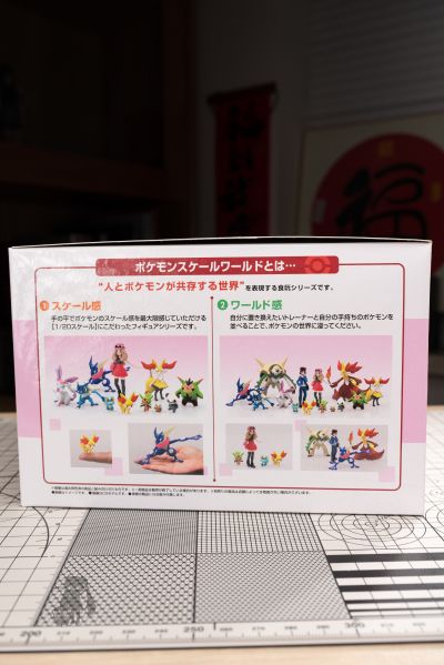 宝可梦比例世界 卡洛斯地区套装