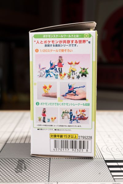 宝可梦比例世界 卡洛斯地区套装