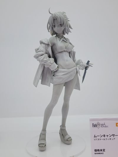 命运-冠位指定 月之癌-玉兔