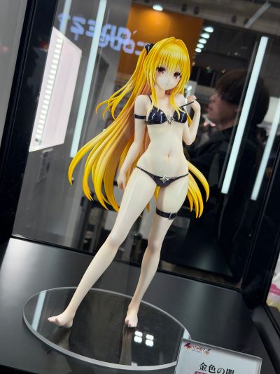 出包王女DARKNESS 泳装系列 金色暗影