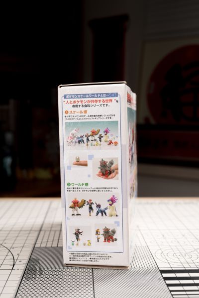 宝可梦比例世界 洗翠地区 刚石与叶伊布