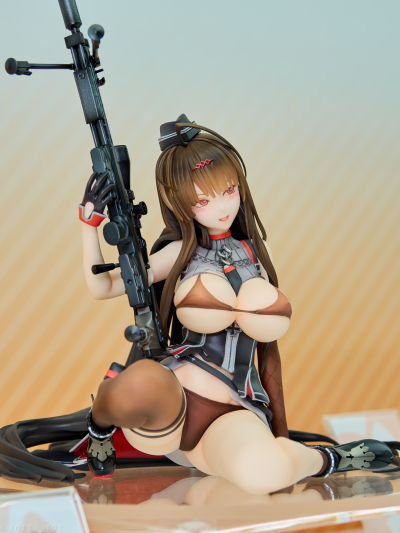 少女前线 Gd DSR-50 重创版