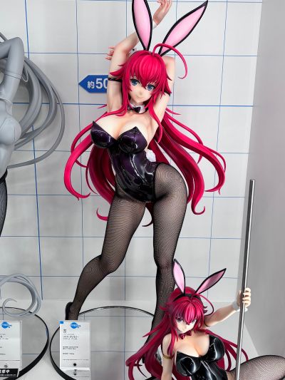 B-style 兔女郎服装计划 索菲亚· F· 希琳 细绳比基尼