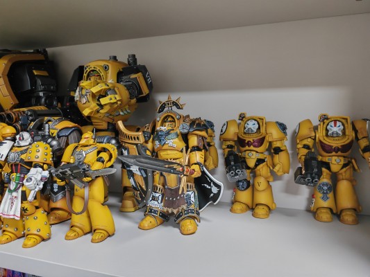 战锤：荷鲁斯之乱 帝国之拳 穿塔尔塔罗斯型终结者盔甲的执政官 配备能量剑和警戒风暴盾