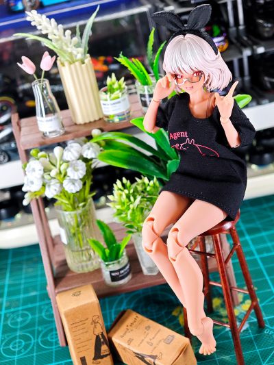 RA-01LS 艾琳·假日闲憩（异色版）