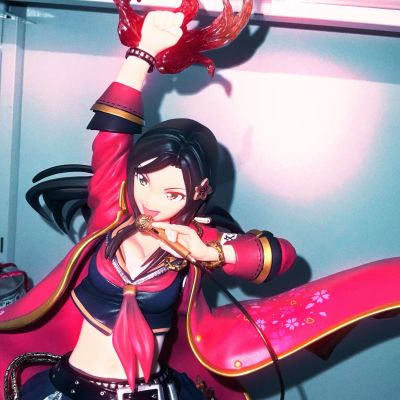 偶像大师灰姑娘女孩 向井拓海