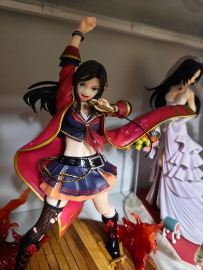 偶像大师灰姑娘女孩 向井拓海