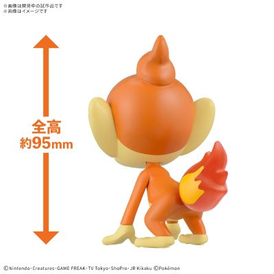 宝可梦拼装模型收藏 快快拼！！29 小火焰猴