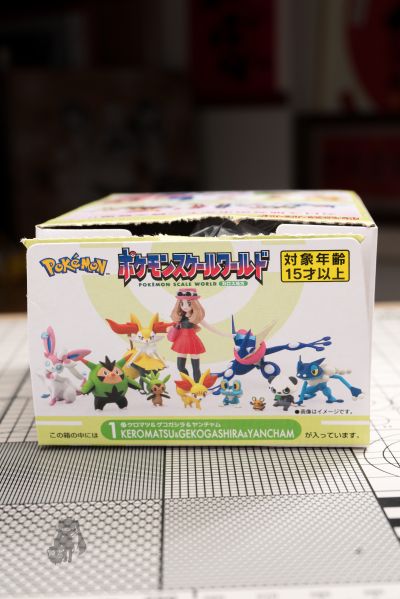 宝可梦比例世界 卡洛斯地区套装