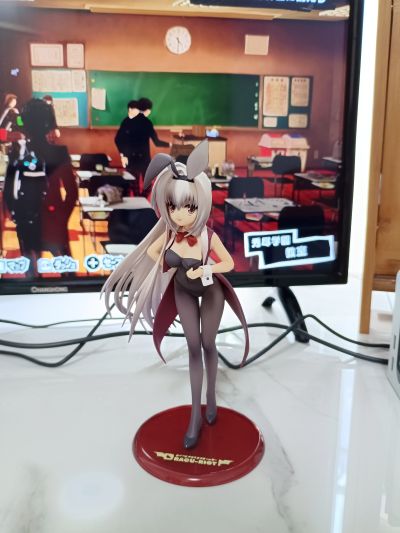 DRACU-RIOT！  艾莉娜·欧莱乌娜·艾文 兔女郎