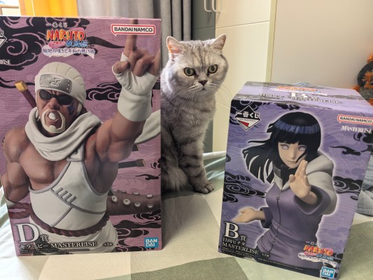 一番赏 火影忍者 疾风传 轮回的叹息与和平的桥梁 B赏 日向雏田 MASTERLISE