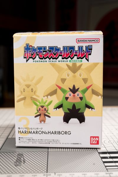 宝可梦比例世界 卡洛斯地区套装