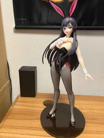 B-style CODE GEASS 夺还的罗塞 皇朔夜 兔女郎