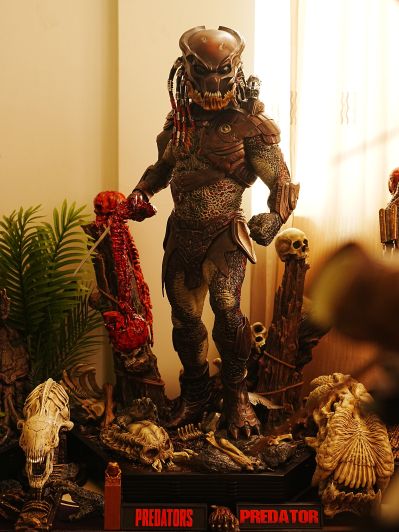 MMPR-02 铁血战士2 城市猎人