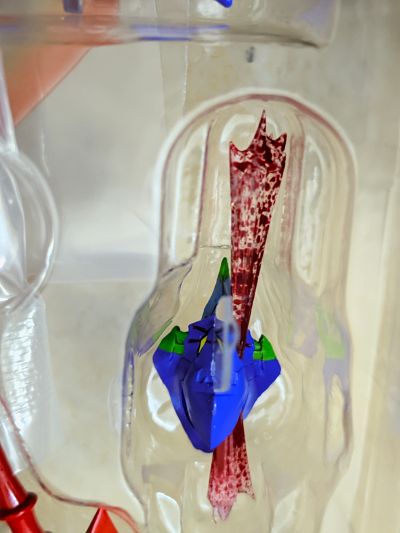 转轮科技 惊奇山口  新世纪福音战士初号机