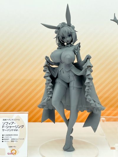 兔女郎服装计划 索菲亚· F· 希琳