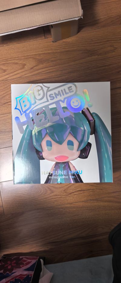 HELLO! BIG SMILE 初音未来 极光