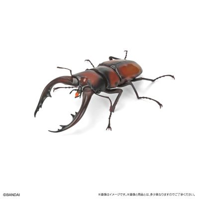 生物大图鉴 锹甲 12 小号树皮底座套装 扭蛋线上版限定