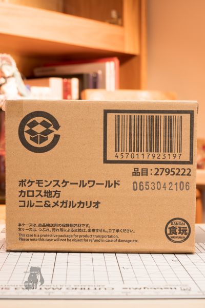 宝可梦比例世界 卡洛斯地区 可尔妮 + 超级路卡利欧