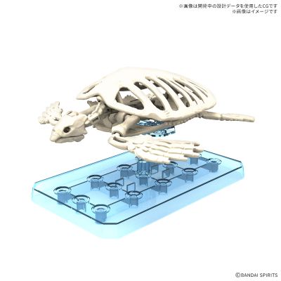 恐龙拼装模型 古巨龟