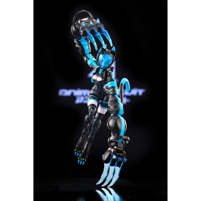 AnimaCircuit 索拉猫猫 SP