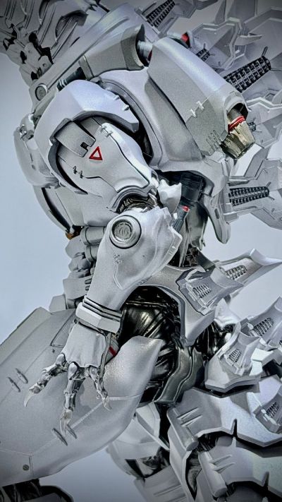 METAL BUILD EX PROJECT  三式机龙