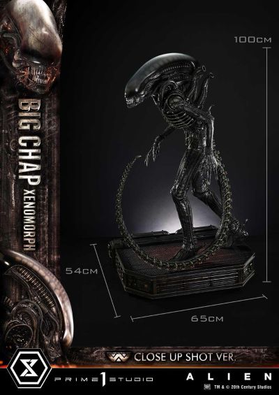 展览馆线XL 初代异形 特写镜头