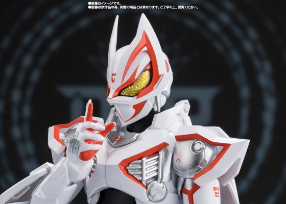 S.H.Figuarts 假面骑士极狐九尾