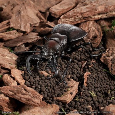 生物大图鉴 锹甲 12 小号树皮底座套装 扭蛋线上版限定