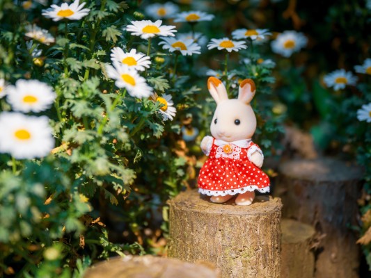 生物大图鉴 独角仙09