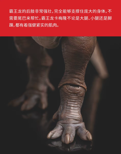 可动玩具系列01霸王龙卡梅隆