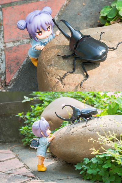 生物大图鉴 独角仙09