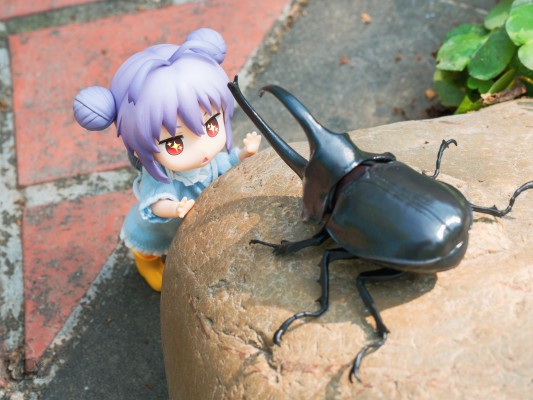 那么，去寻春吧！丨 喵帕斯–Δ–