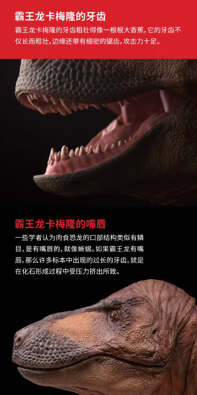 可动玩具系列01霸王龙卡梅隆