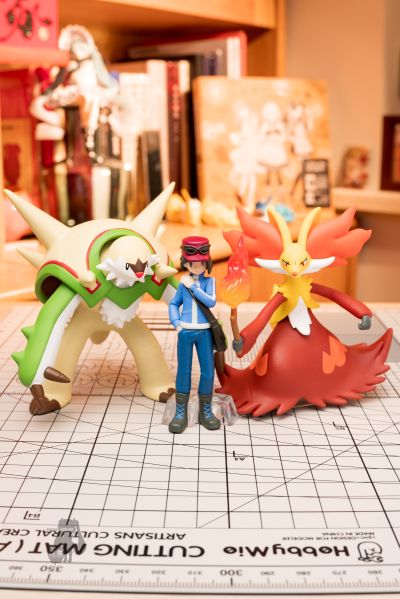 宝可梦比例世界 卡洛斯地区 卡鲁穆+布里卡隆+妖火红狐