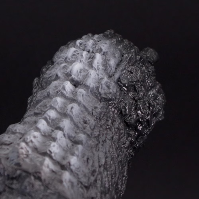 哥斯拉（2001）30cm